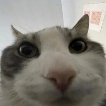 Aziz
